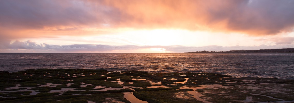 ¿Qué elegís para tu vida?
