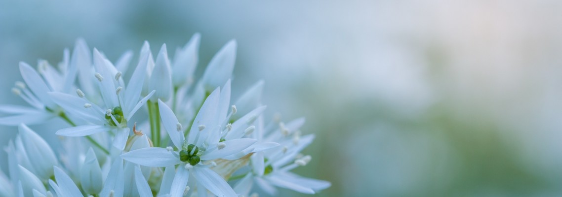 ¿Qué elegís para tu vida?